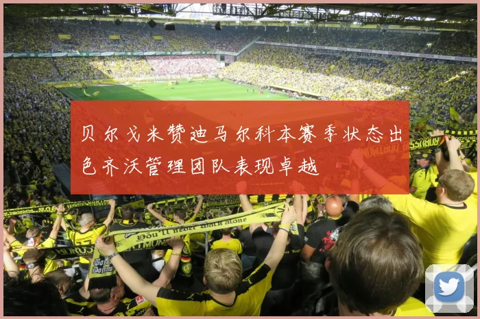 贝尔戈米赞迪马尔科本赛季状态出色齐沃管理团队表现卓越