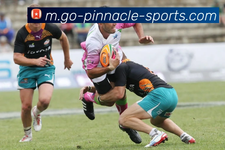 数据防护可视化